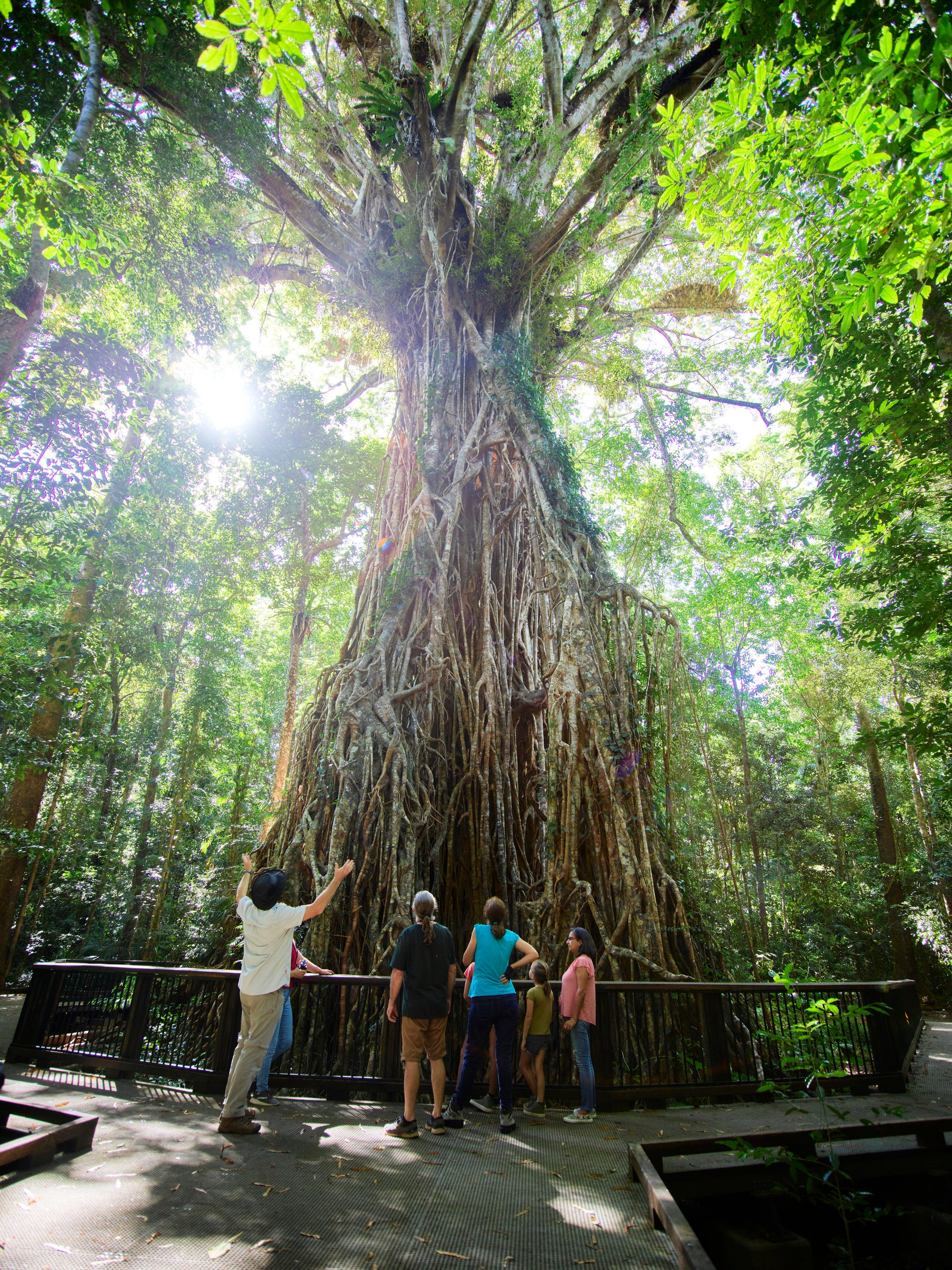 ©ケアンズ観光局