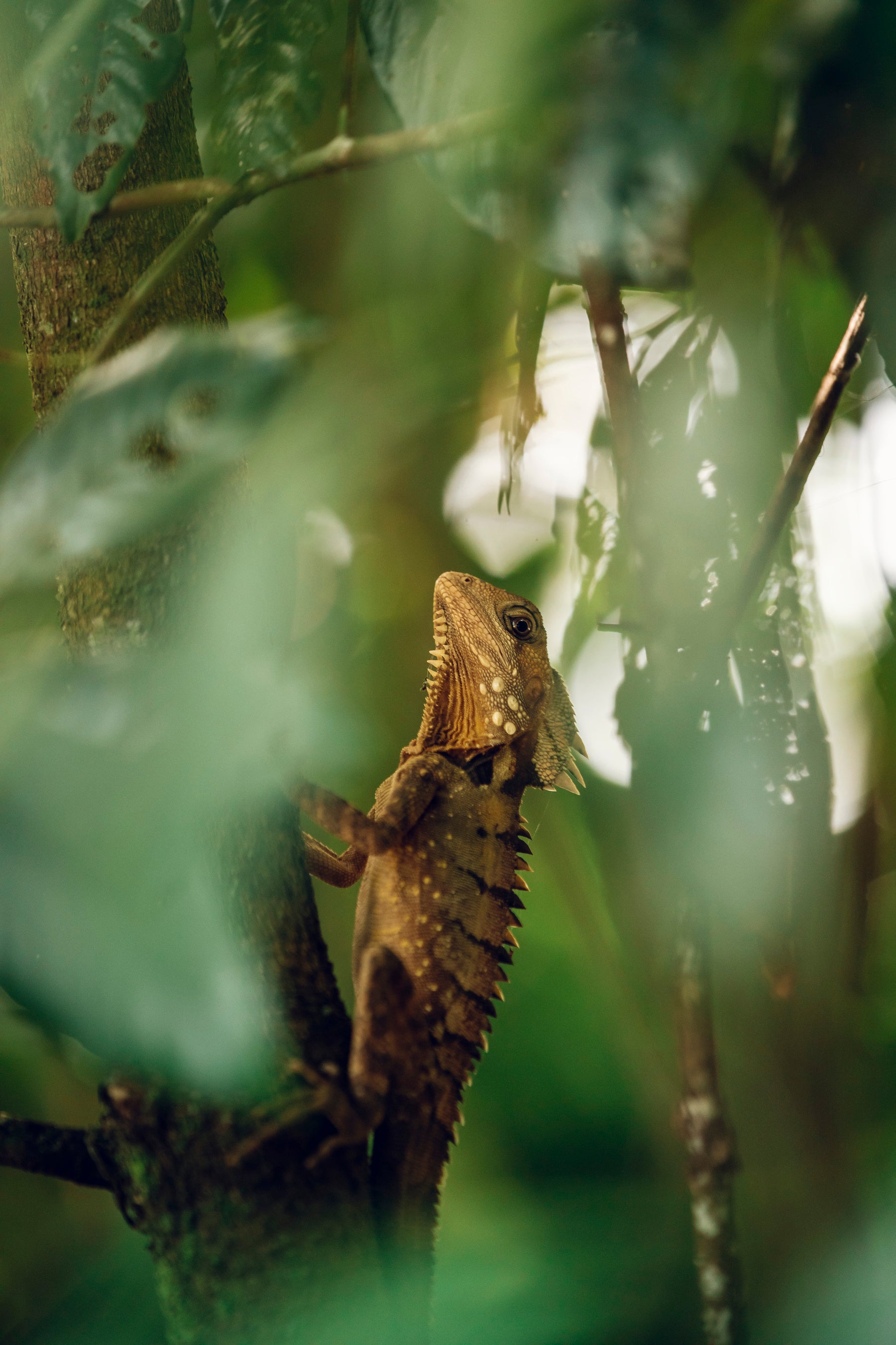 ©ケアンズ観光局