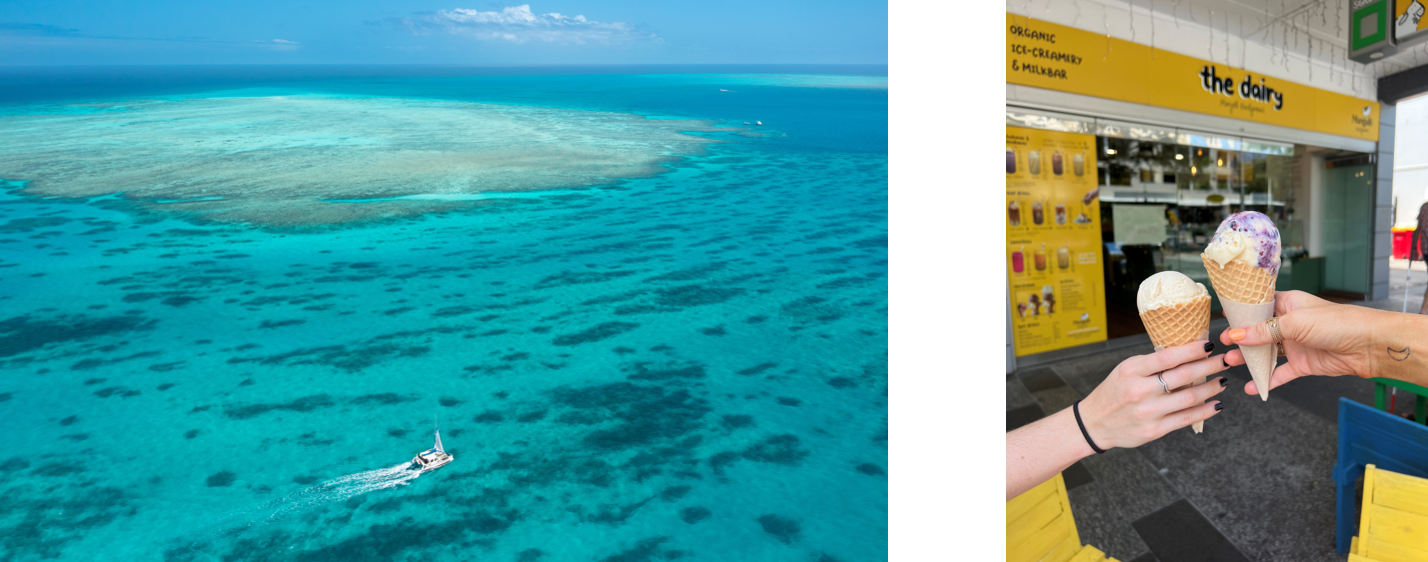 グレートバリアリーフ／The Dairy by Mungalli ©ケアンズ観光局