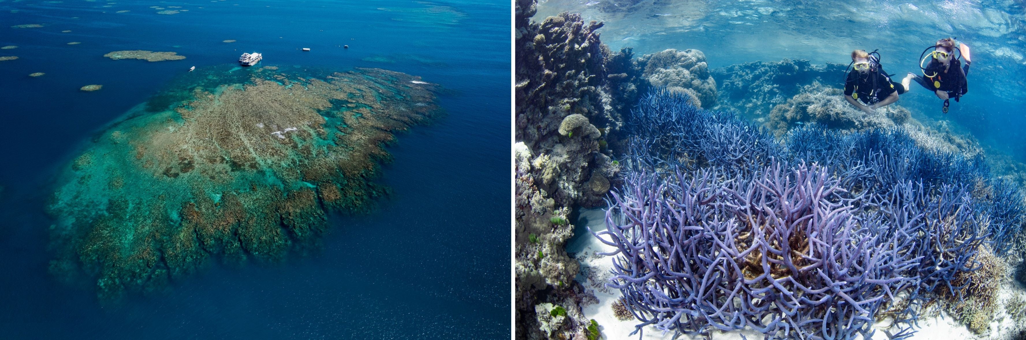 ©ケアンズ観光局