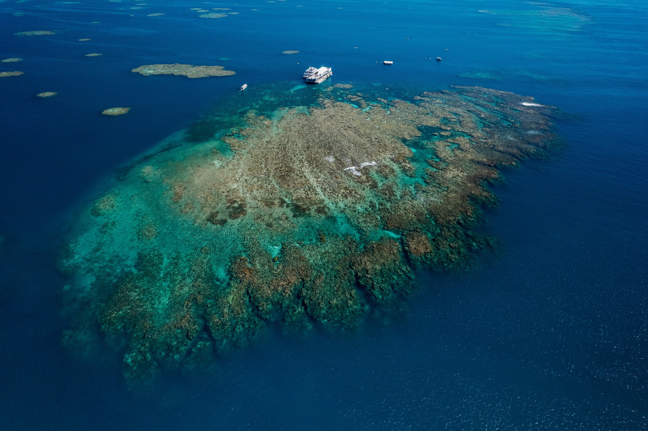 ©ケアンズ観光局