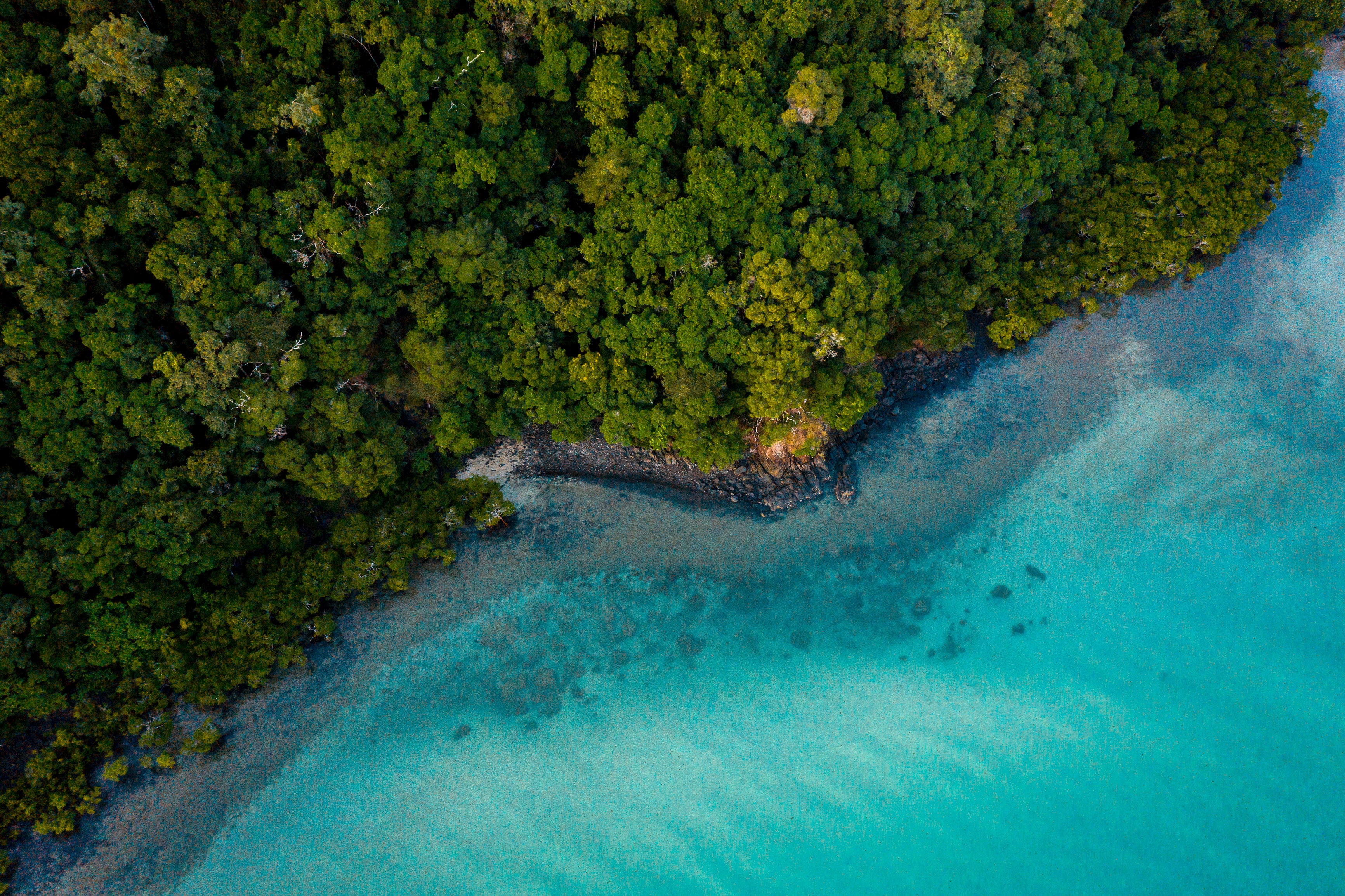 ©ケアンズ観光局