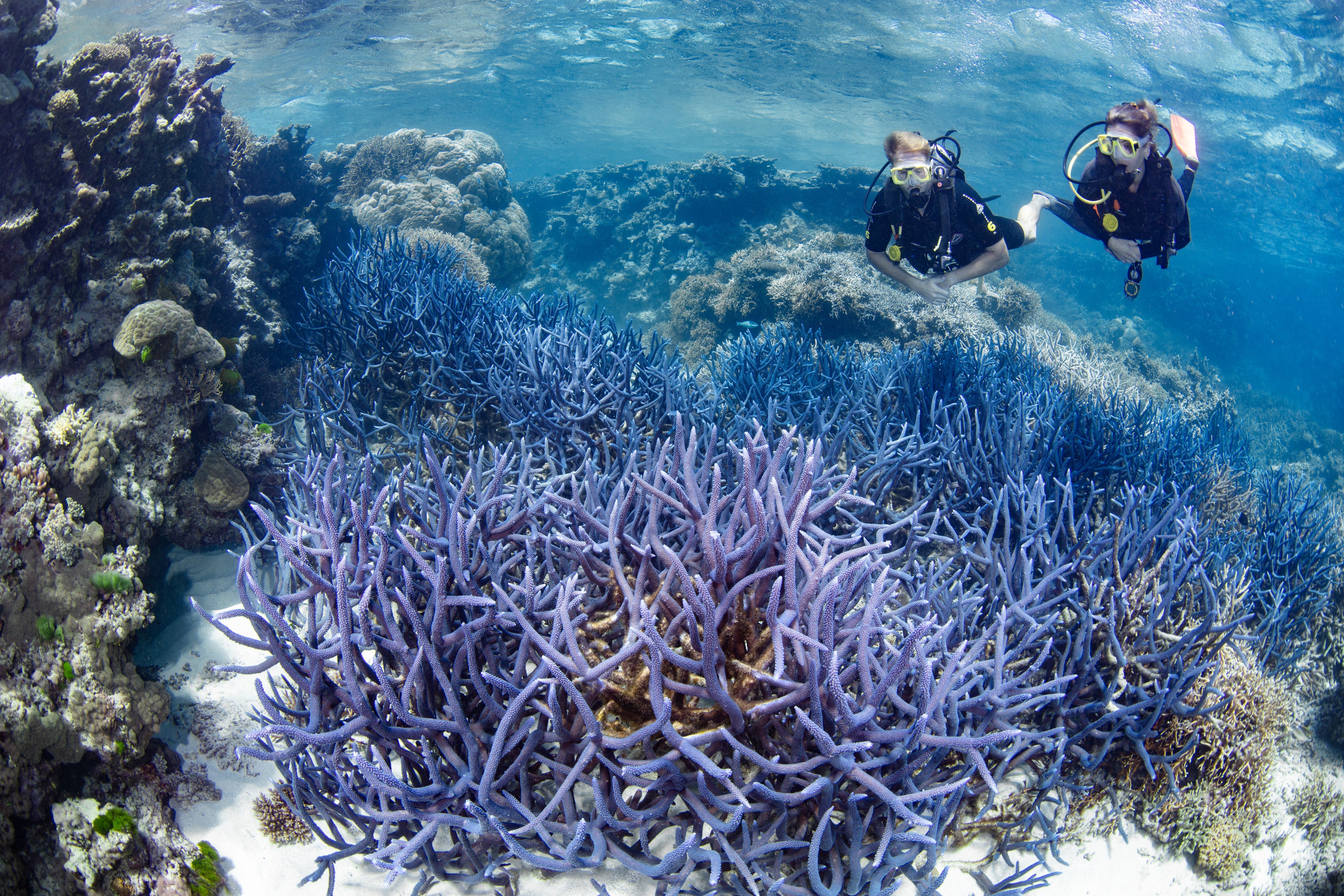 ©ケアンズ観光局