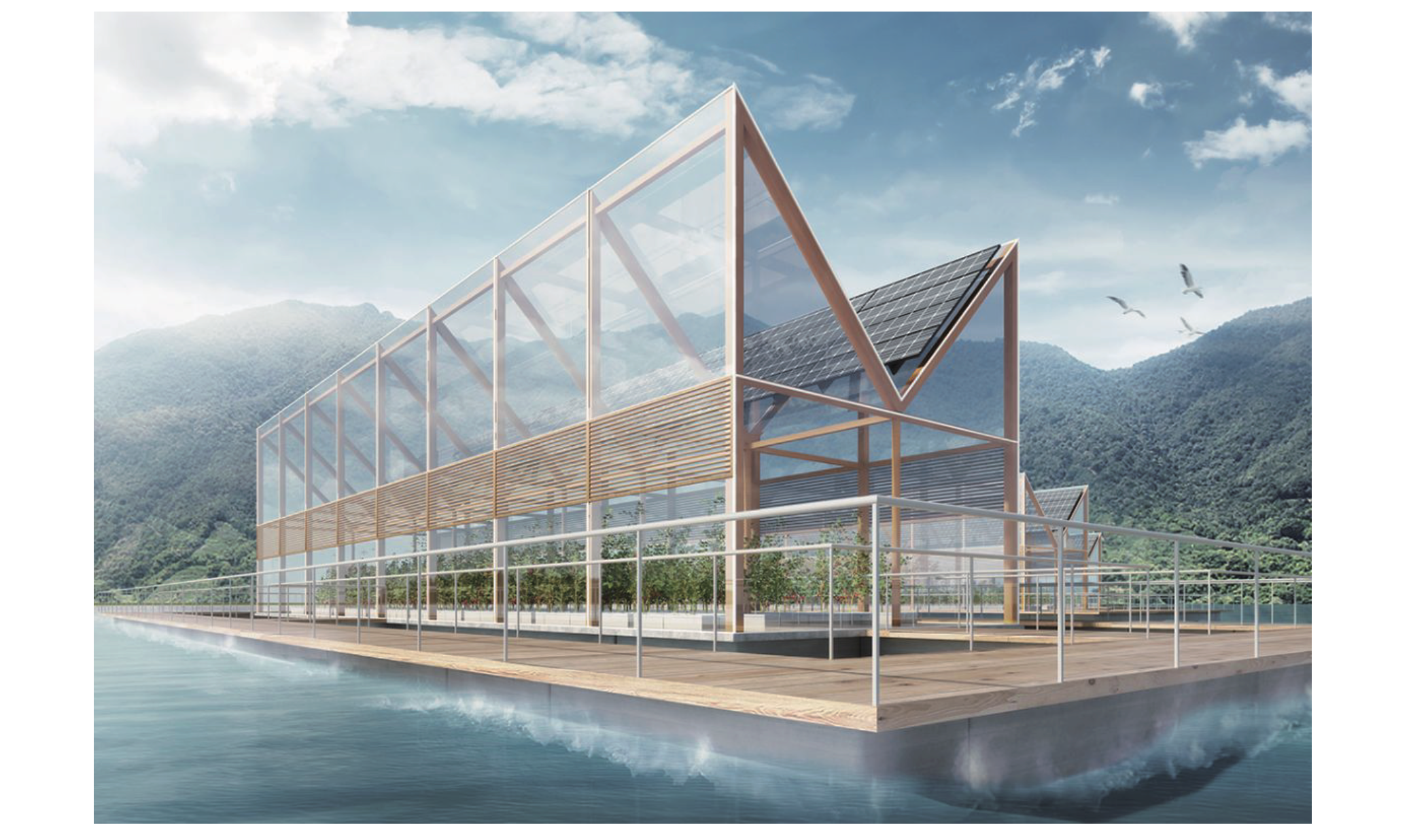 戦略パートナーN-ARKから生まれる海上ファーム「グリーンオーシャン」では、アルカリ性の海水と酸性の雨水を混ぜ合わせてph調整を行い、多様な種類の根を育成することで、海水の養分が吸収できる「海水農業」技術を「カルティベラ」がCOにて開発中。