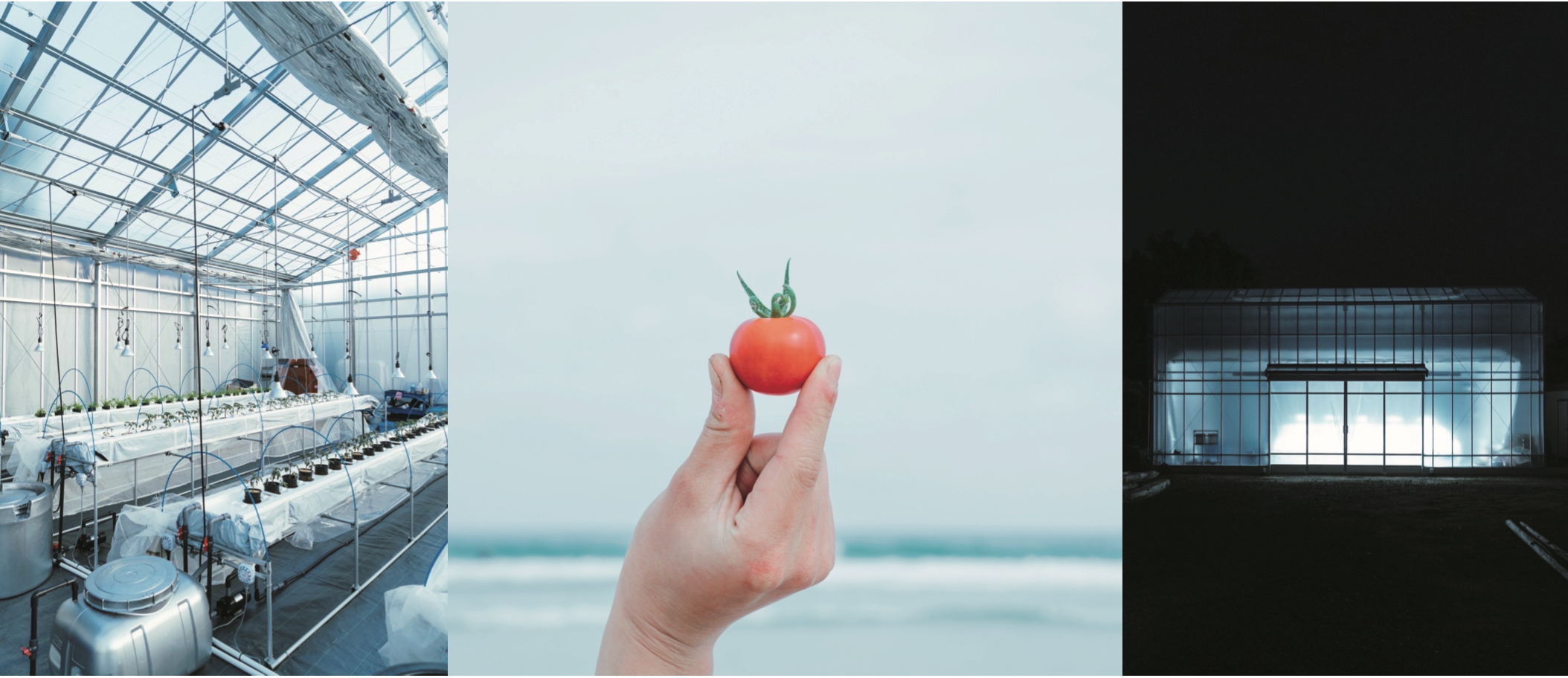 株式会社CULTIVERA