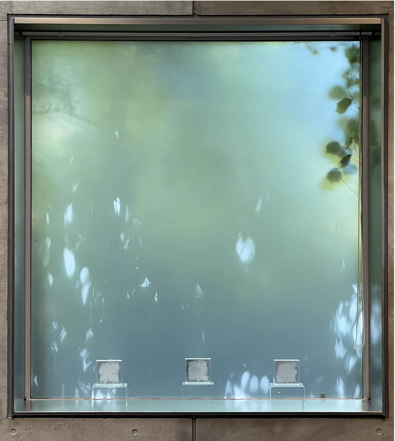 《locus》アクリルにルーター 13×13×6cm&nbsp; Photo by Mineo Sakata at Cigasaki City Museum of Art