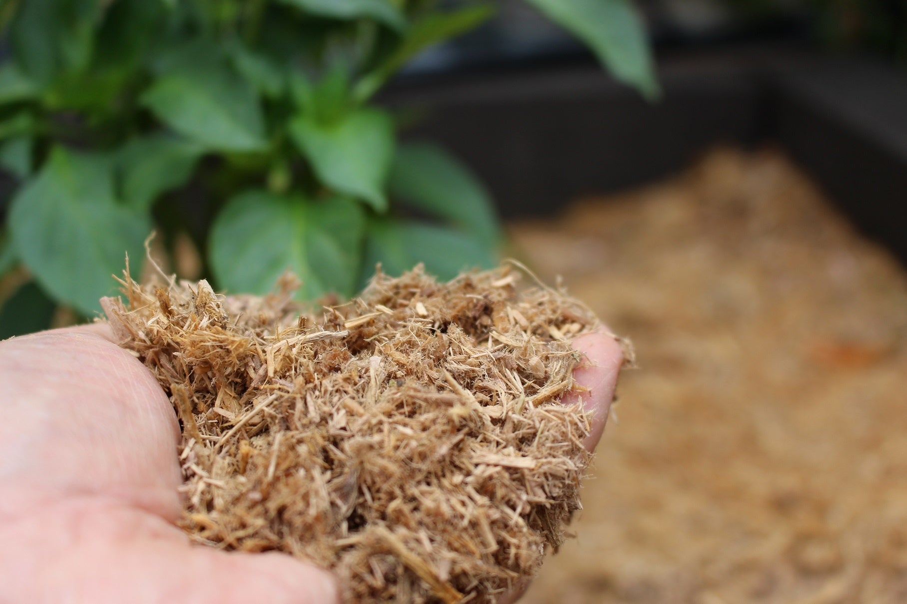 木質培地『グロウアース』