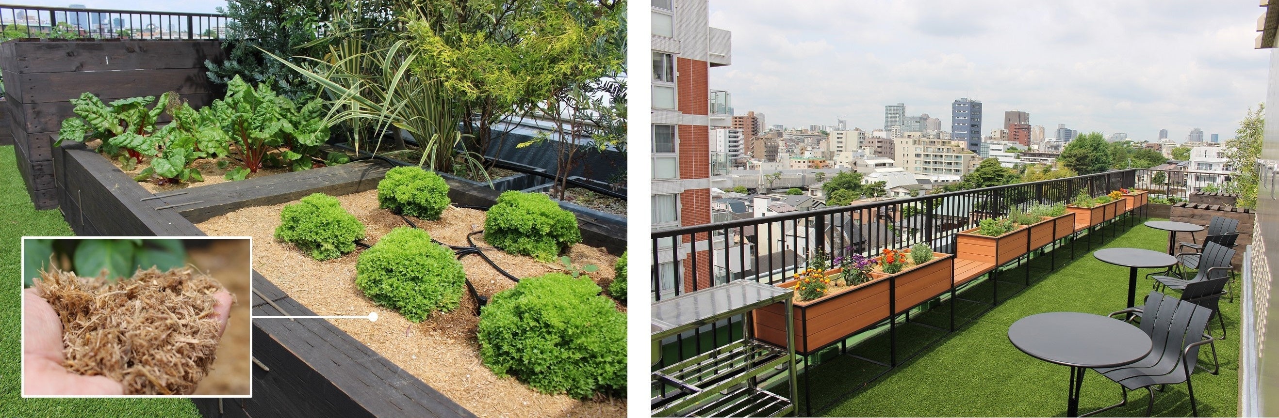 菜園システム「プチまち菜園」利用イメージ