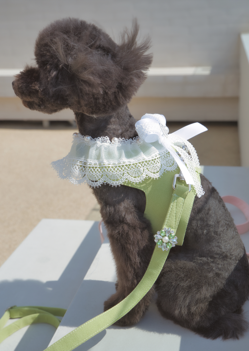 Lace Collar Harness + Leash (Bud Green)