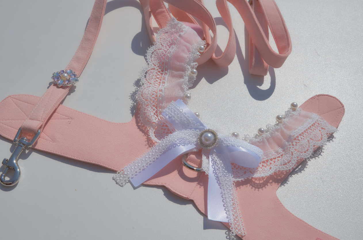 Shade2022SS ハーネス詳細