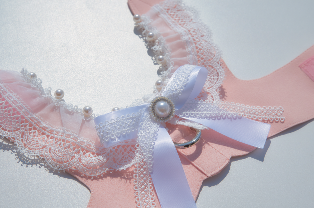 Shade2022 ハーネス詳細