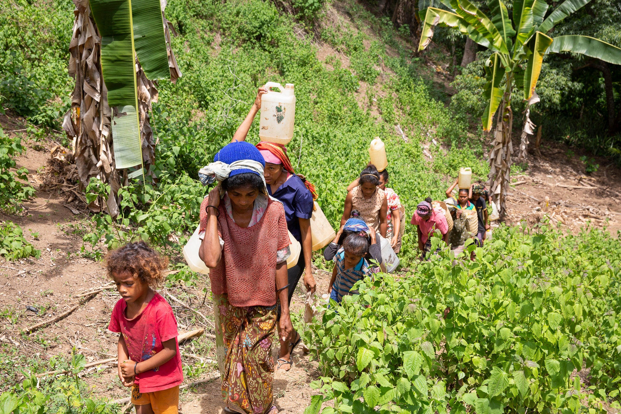 実際の水汲みの様子