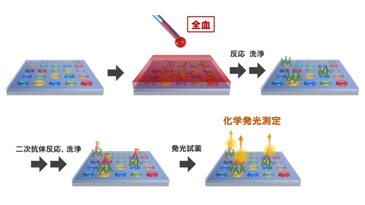新型コロナウイルス変異株の抗体量を8分で自動定量