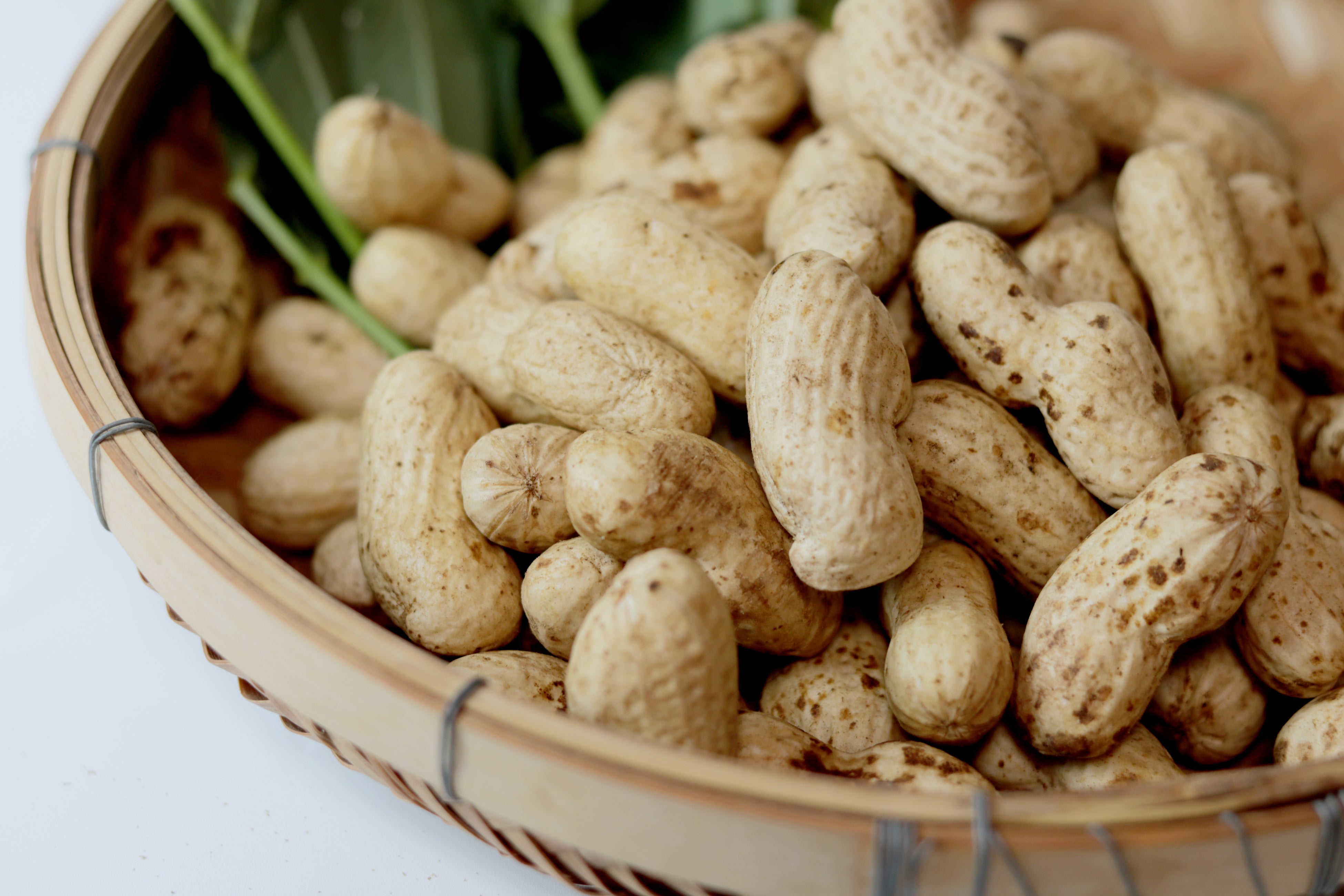 あんばい農園の完熟・適熟生落花生