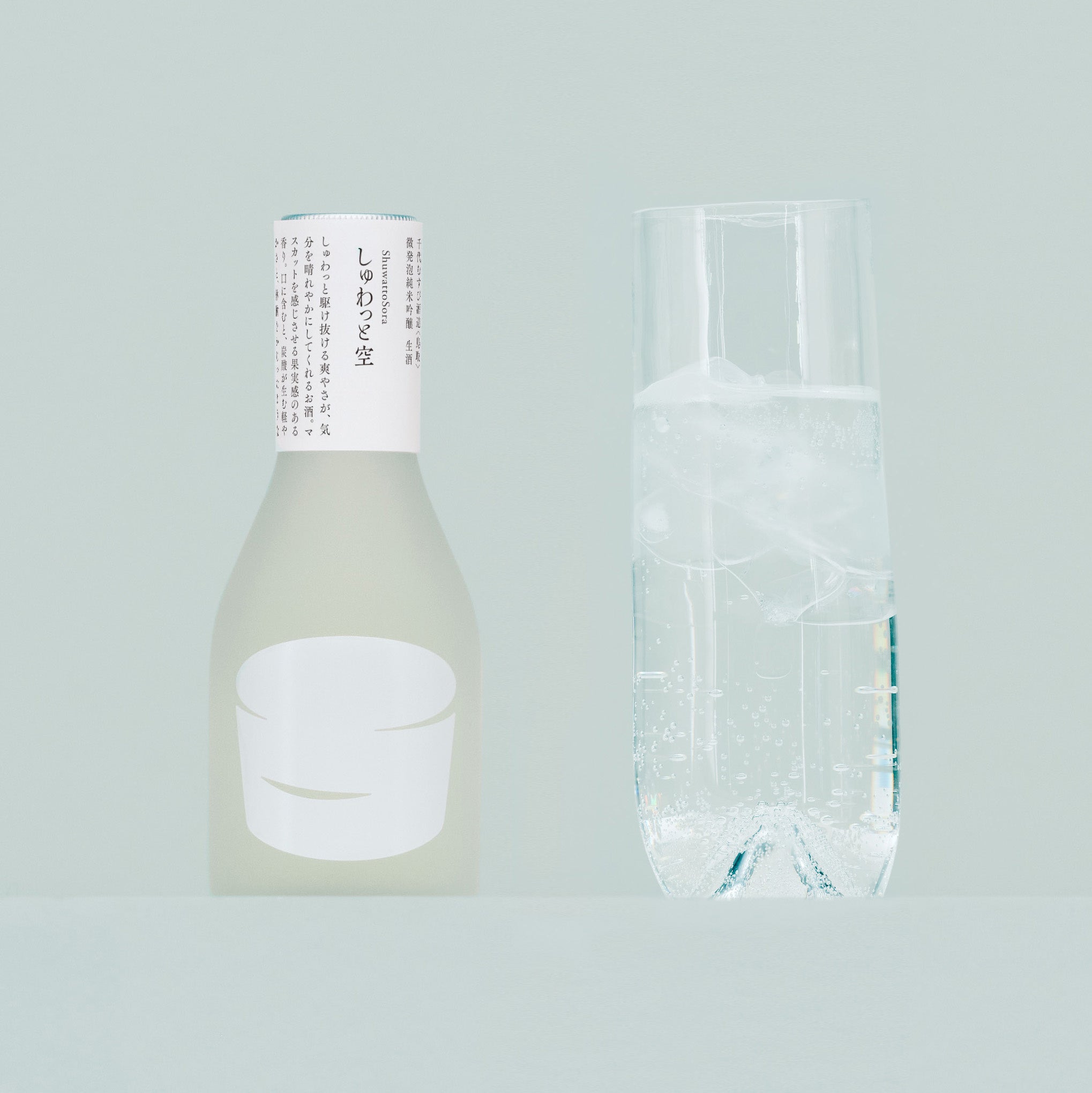 日本酒中1 瓶知恵の輪 SN0029 - メルカリ