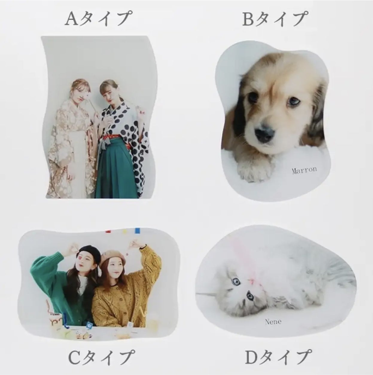 全4タイプ(A~D)をラインナップ