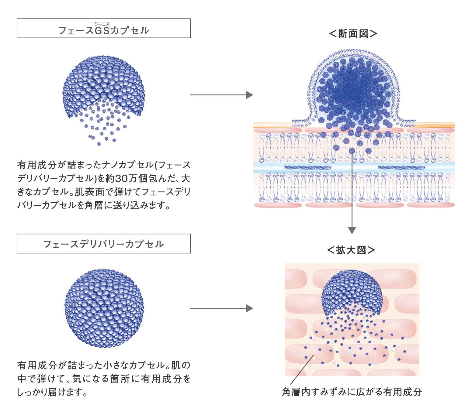 12万人の肌悩みをもとに誕生したエステサロン専売ブランド『 ラメラ