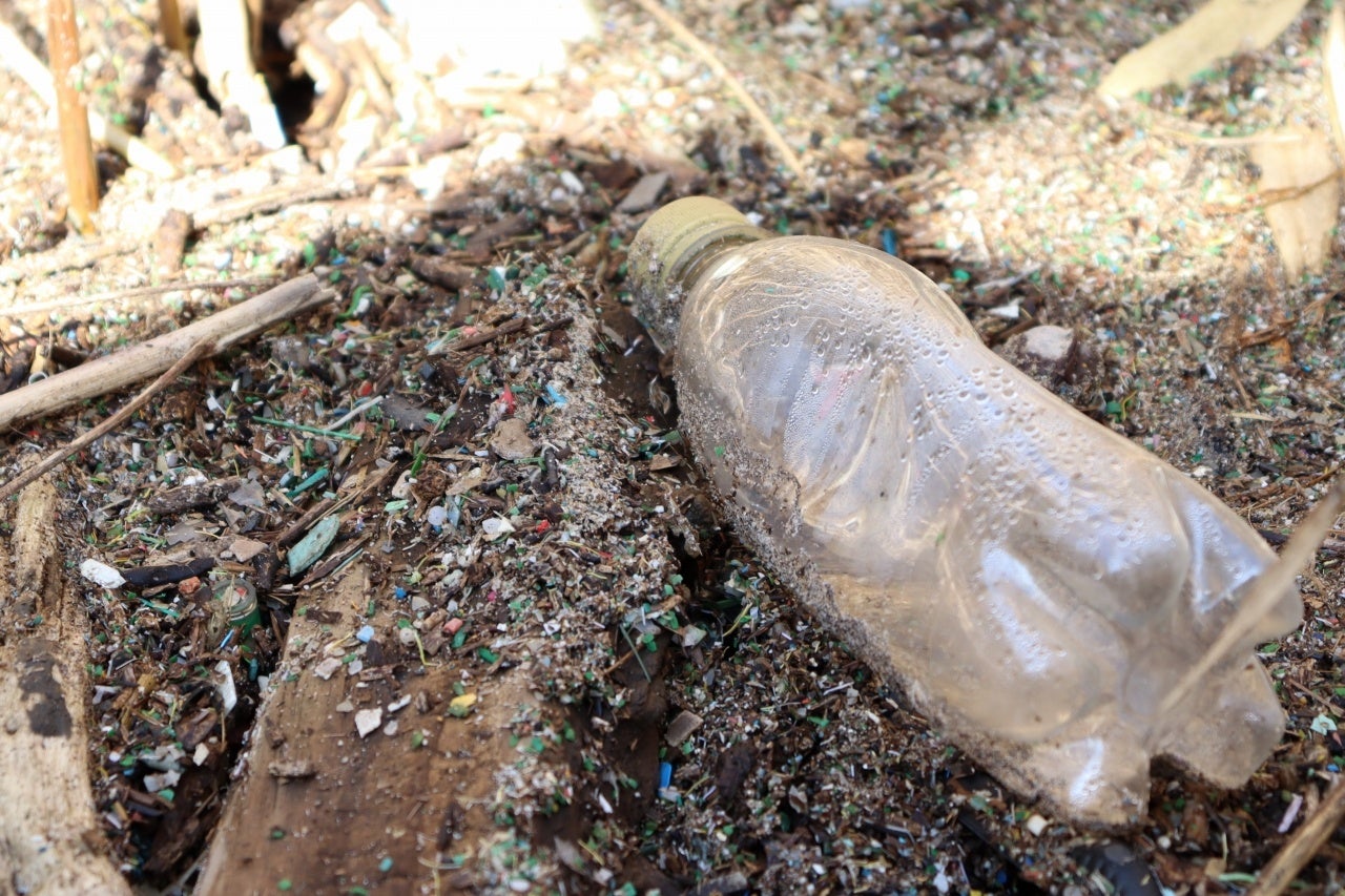 荒川河口で見られる土には、マイクロプラスチックが大量に含まれている