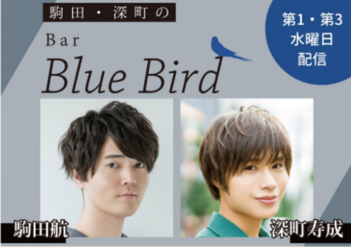 Bar Blue Bird