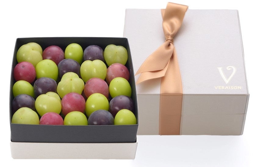 ～秋のヴェレゾンブランシュ～