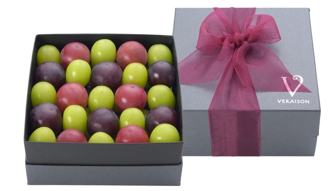 ～秋のヴェレゾンスクエア～