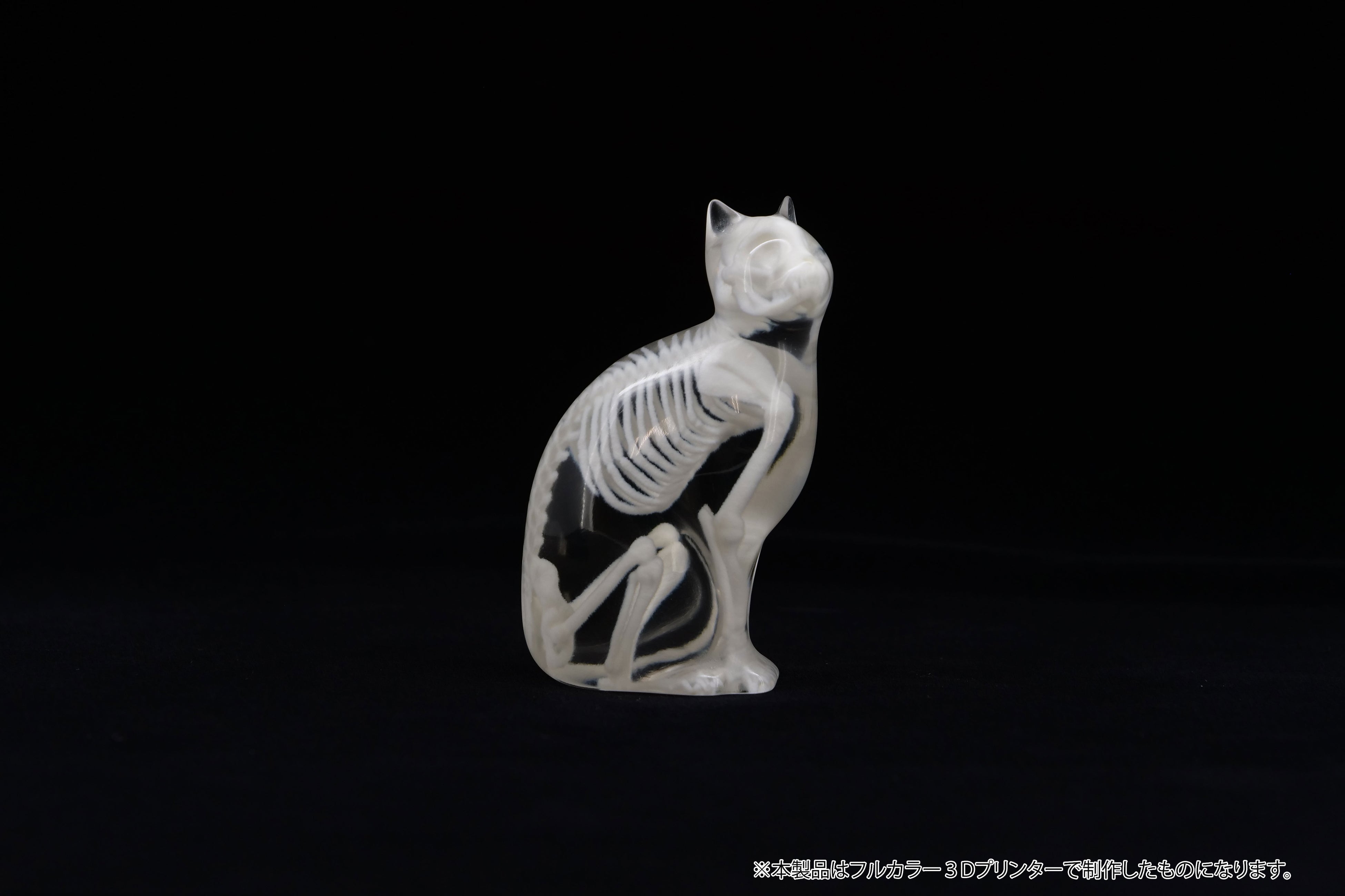 国内最大級のフィギュアの祭典ワンダーフェスティバル2023夏に