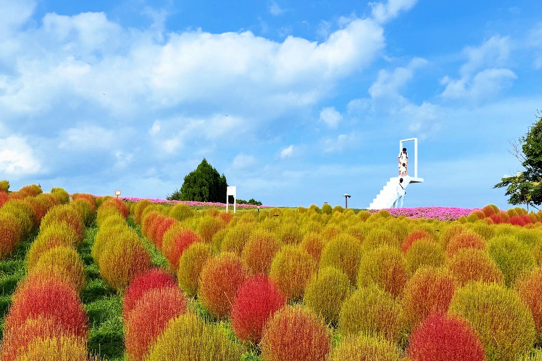秋の行楽シーズン到来。紅葉・旅行・家族イベントの思い出を美しく残す5K対応コンパクトデジタルカメラ【型番:WD07】参上