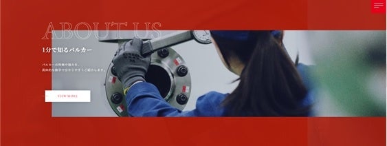 1分で知るバルカー