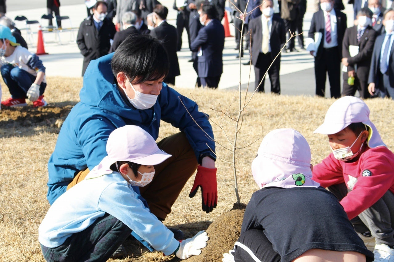 どんぐりの植樹の様子