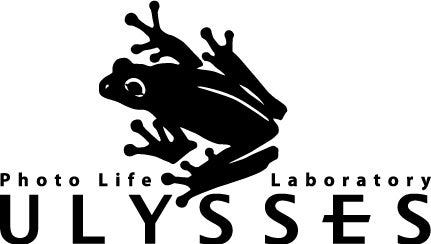 ULYSSES、カメラと日用品をコンパクトに収納する容量4Lのボディバッグ「+C SLING・M(4L)」を発表｜+C SLING・M(4L)の主なスペック（10枚目）