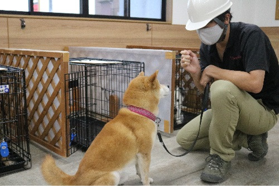 登録施設である『NPO法人 人と動物の共生センター』による動物避難所開設訓練の様子