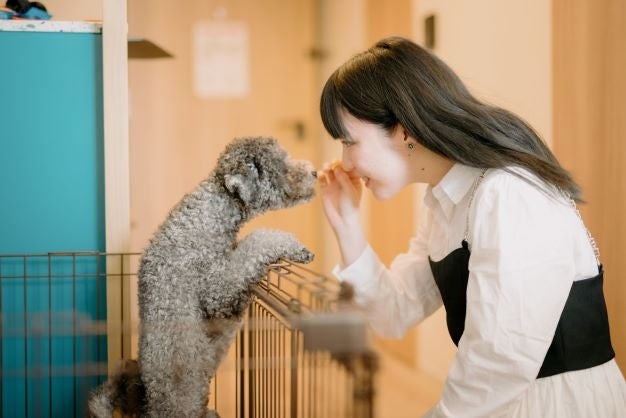 ワンちゃんと一緒に京都旅行
