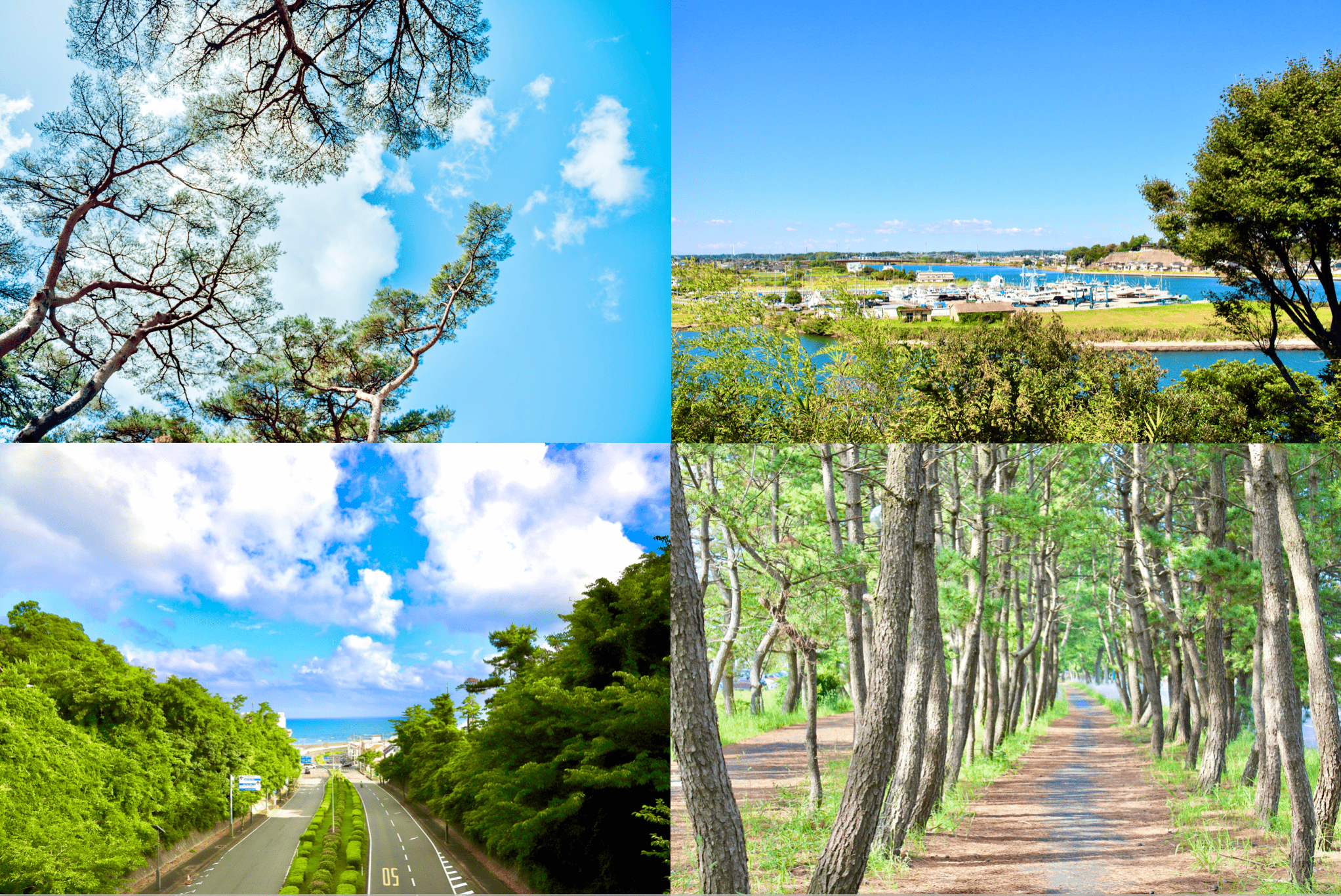 海・空・緑などの自然が魅力の茨城県大洗町