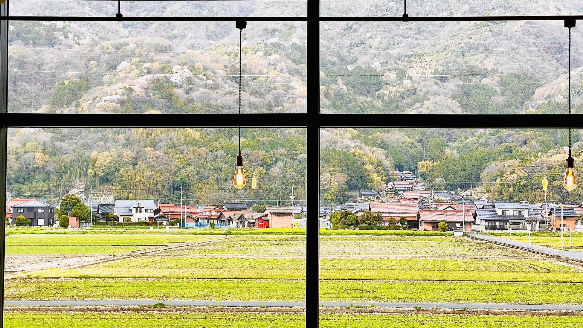 株式会社e-Grid本社オフィスから見える出雲の野山