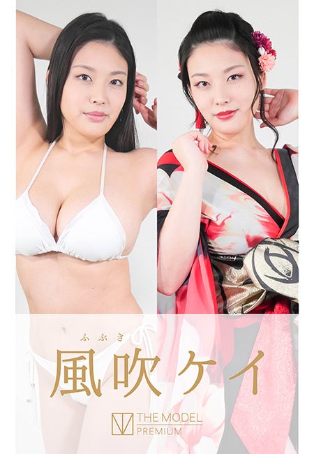 THE MODEL PREMIUM_表紙