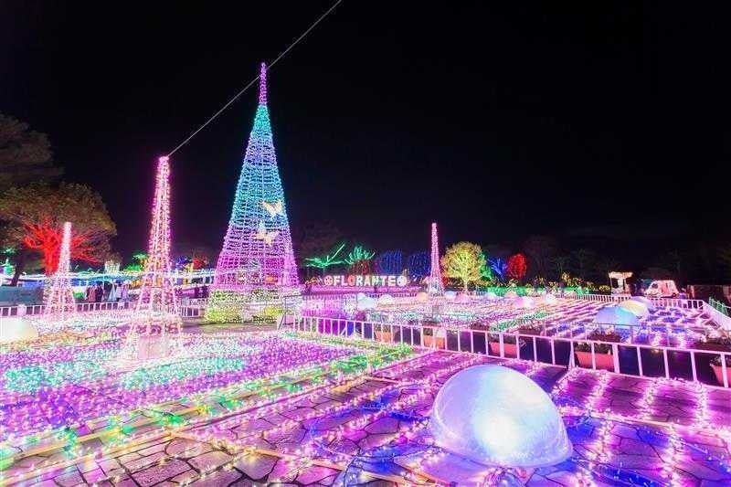 ※過去開催時の写真です