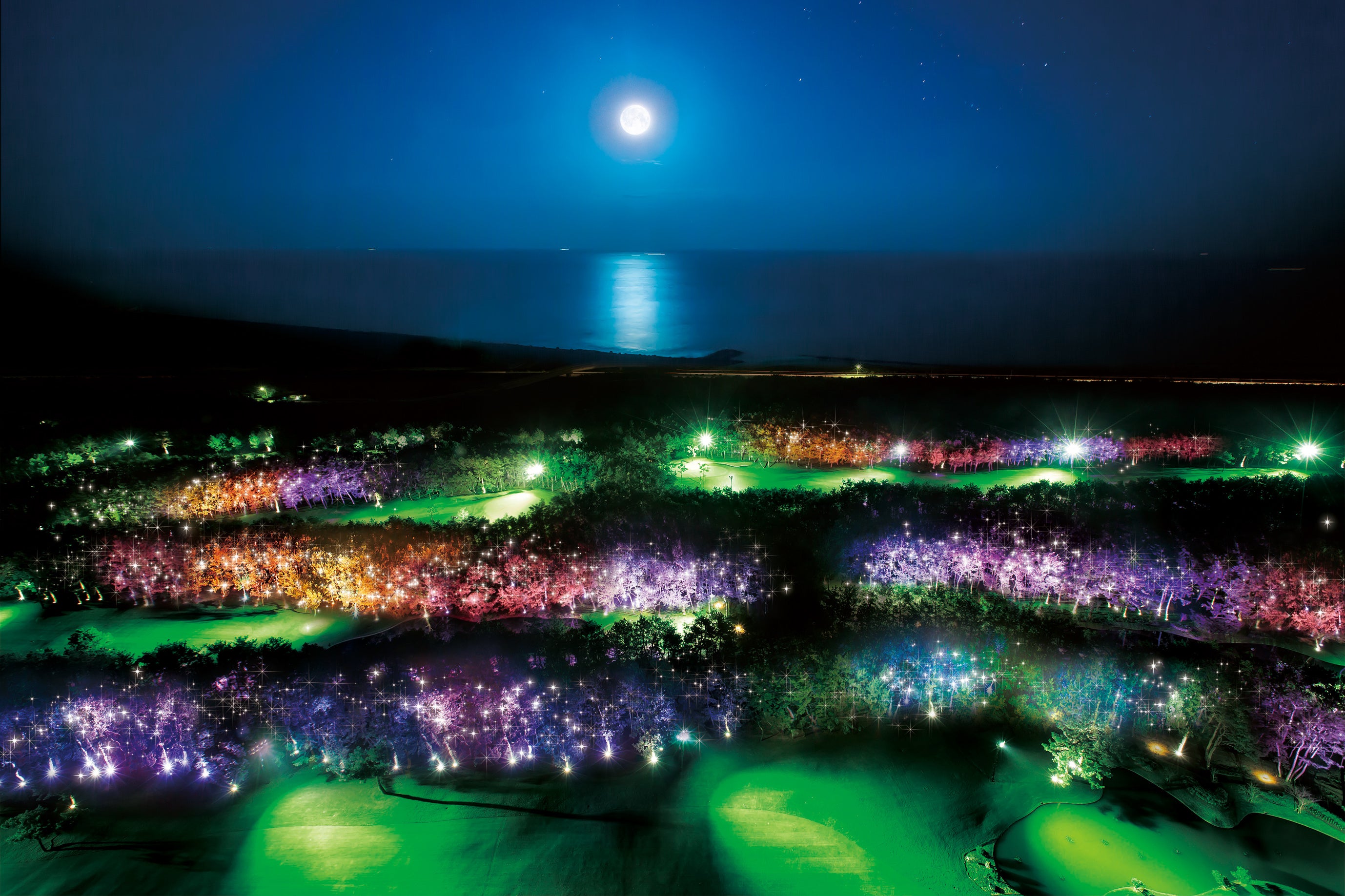 ※画像はイメージです