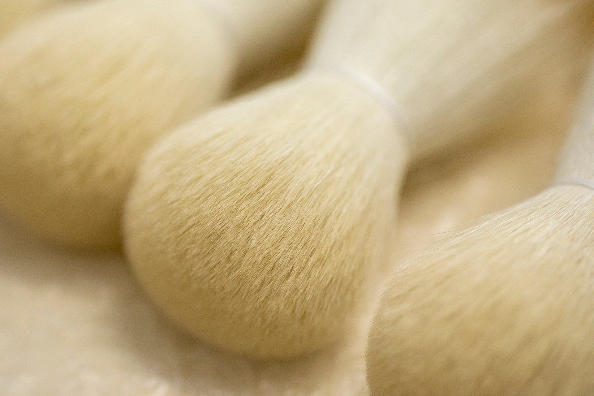 晃祐堂では化粧筆作りの体験もできる