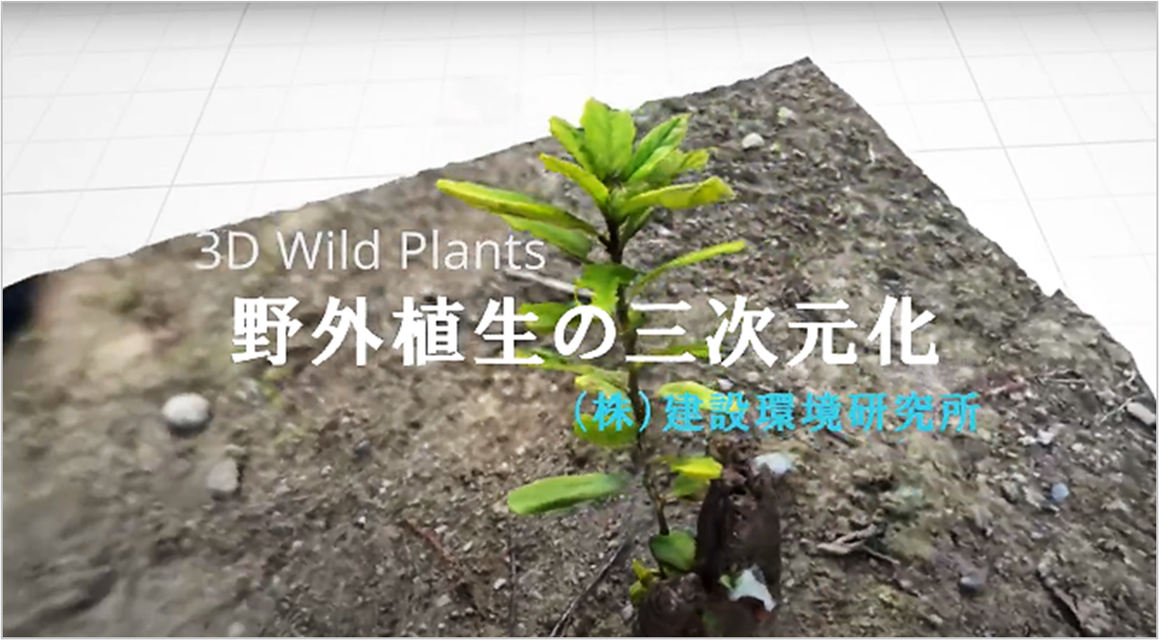 野外植生の三次元化
