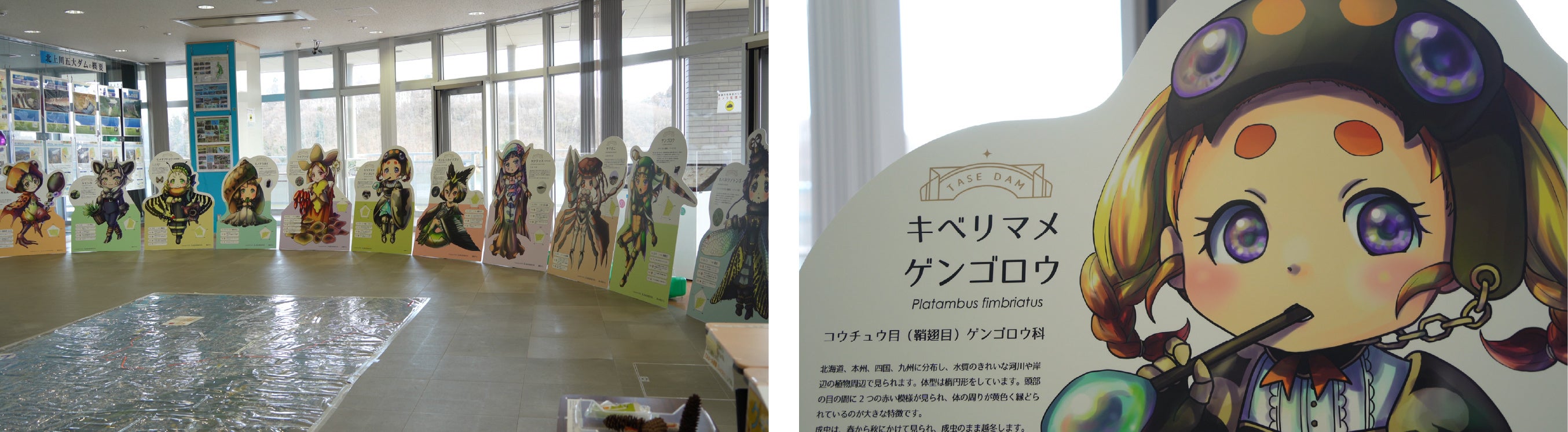 南部片富士湖ものしり館におけるパネル展示の様子