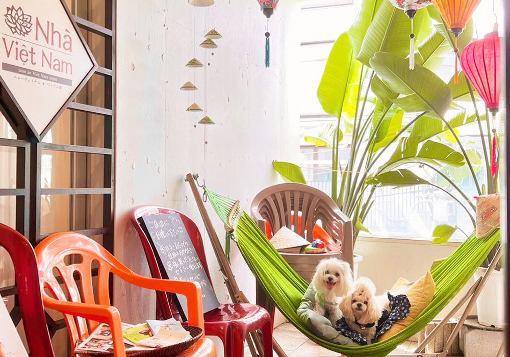 ハンモックで記念撮影