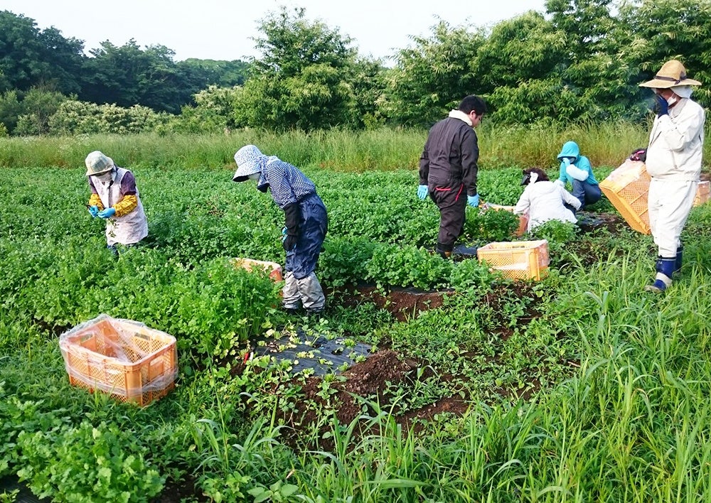 山梨県ハーベジファーム