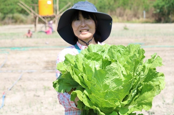 インドネシア：スンバ島で農業支援した村で収穫された野菜と映る事務局長