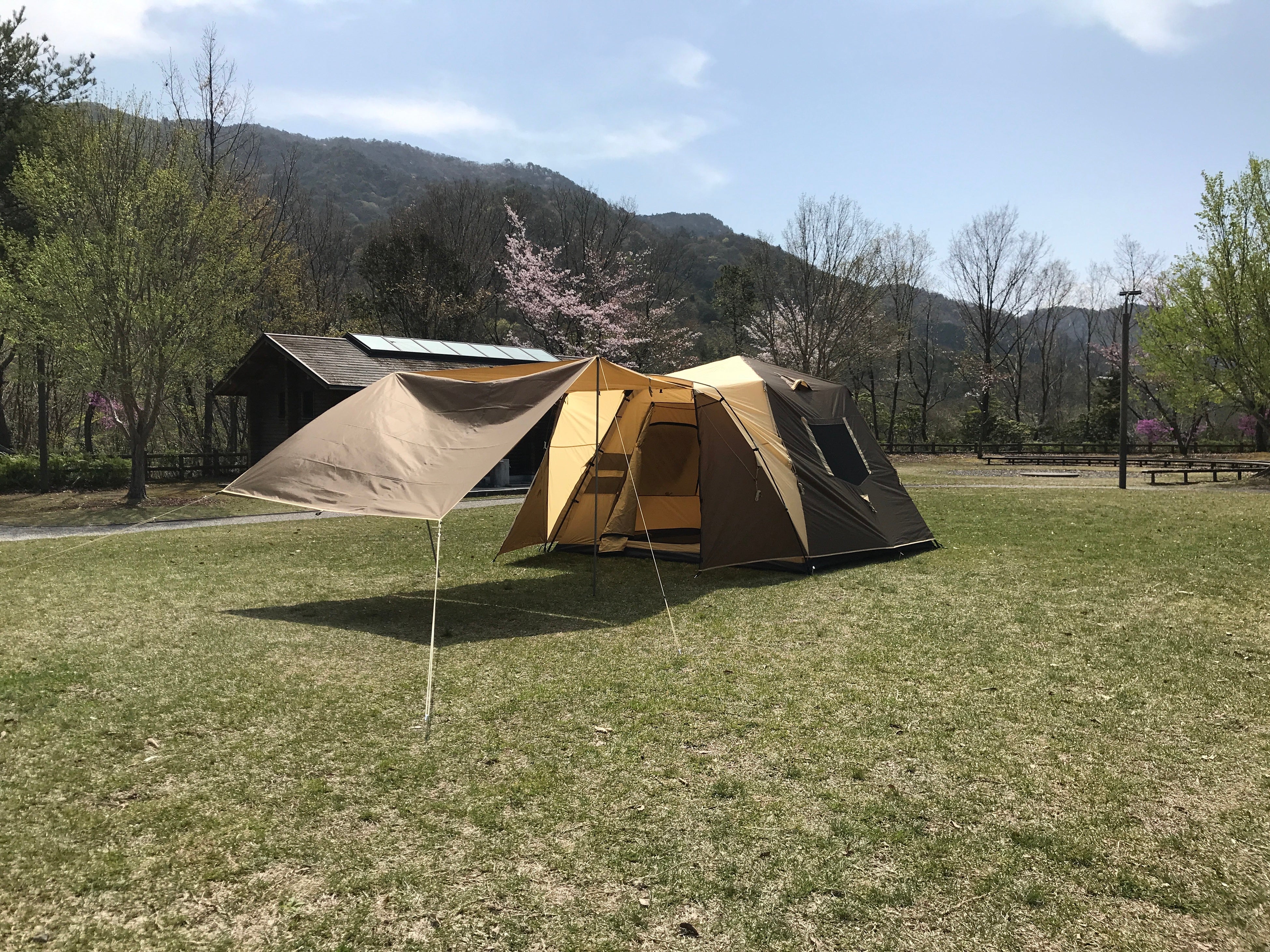 日よけシェード1枚