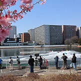 ボートレース平和島