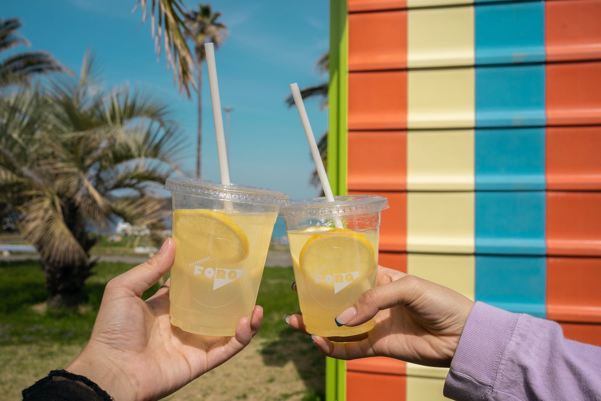 瀬戸芸アートと共に