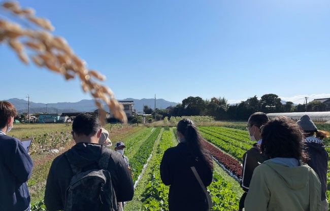 地域の有機農家研修