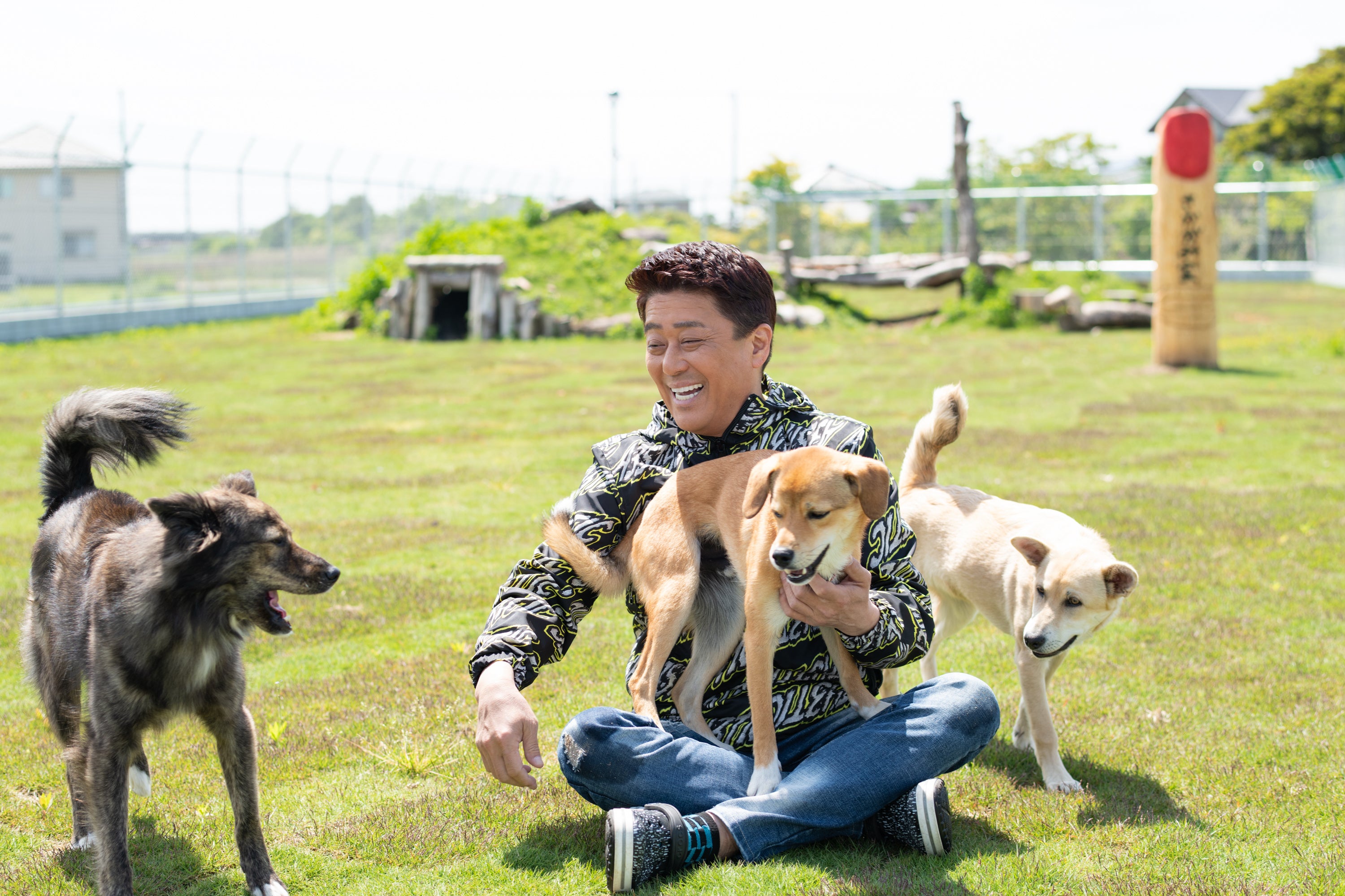 さかがみ家カフェ ペット用品 さかがみ家 犬の洋服