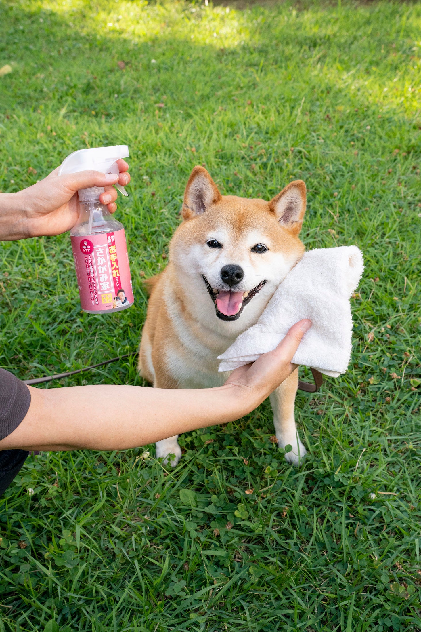 製品使用イメージ