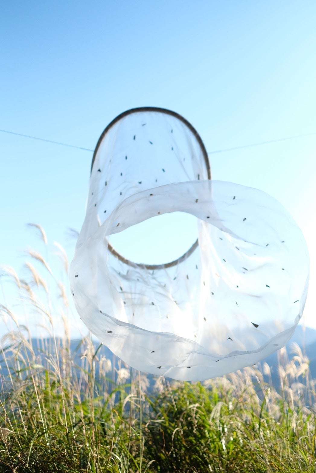 photo by Yukako Mori  ©️YUMU KUMADA